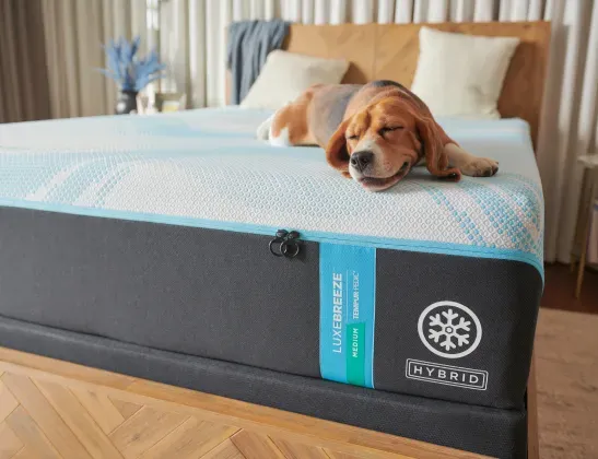 mattress-sleep-quality